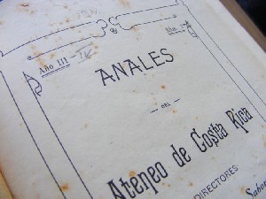 biblioteca 185 copy.jpg